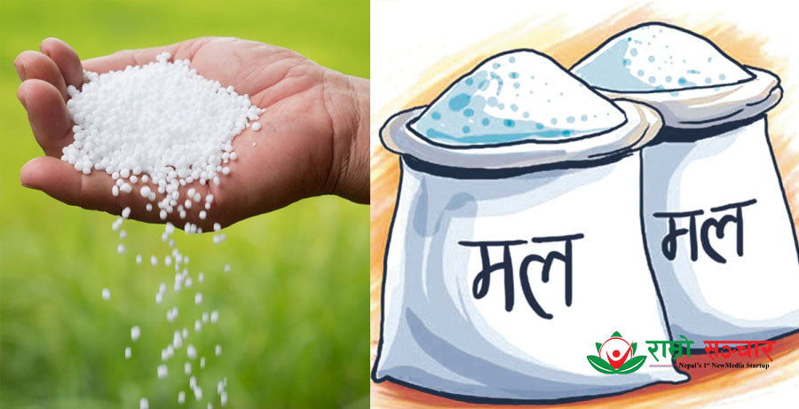 हिउँदे बालीका लागि रासायनिक मलको अभाव नहुने